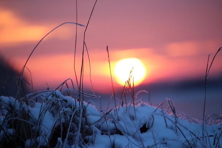 Winter sunset
