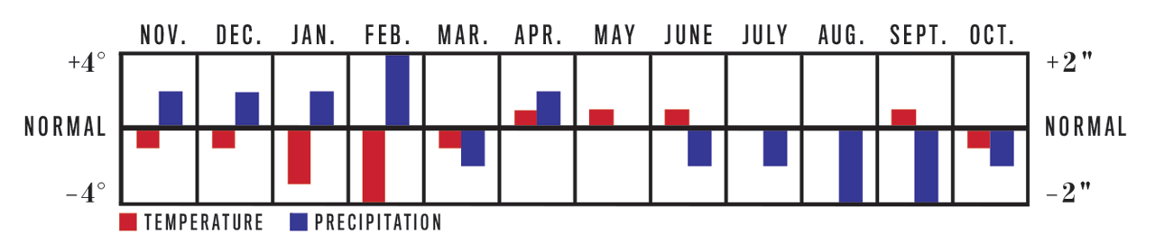 Temperature and Precipitation Chart, November 2022 to October 2023 for Florida Region