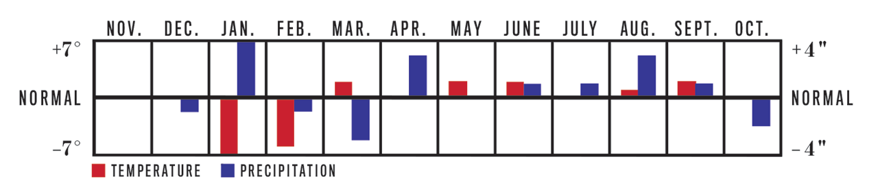 Temperature and Precipitation Chart, November 2022 to October 2023 for Deep South Region